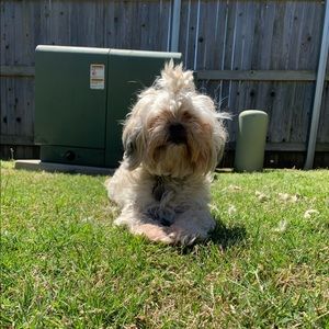 Meet your Posher, Maddie